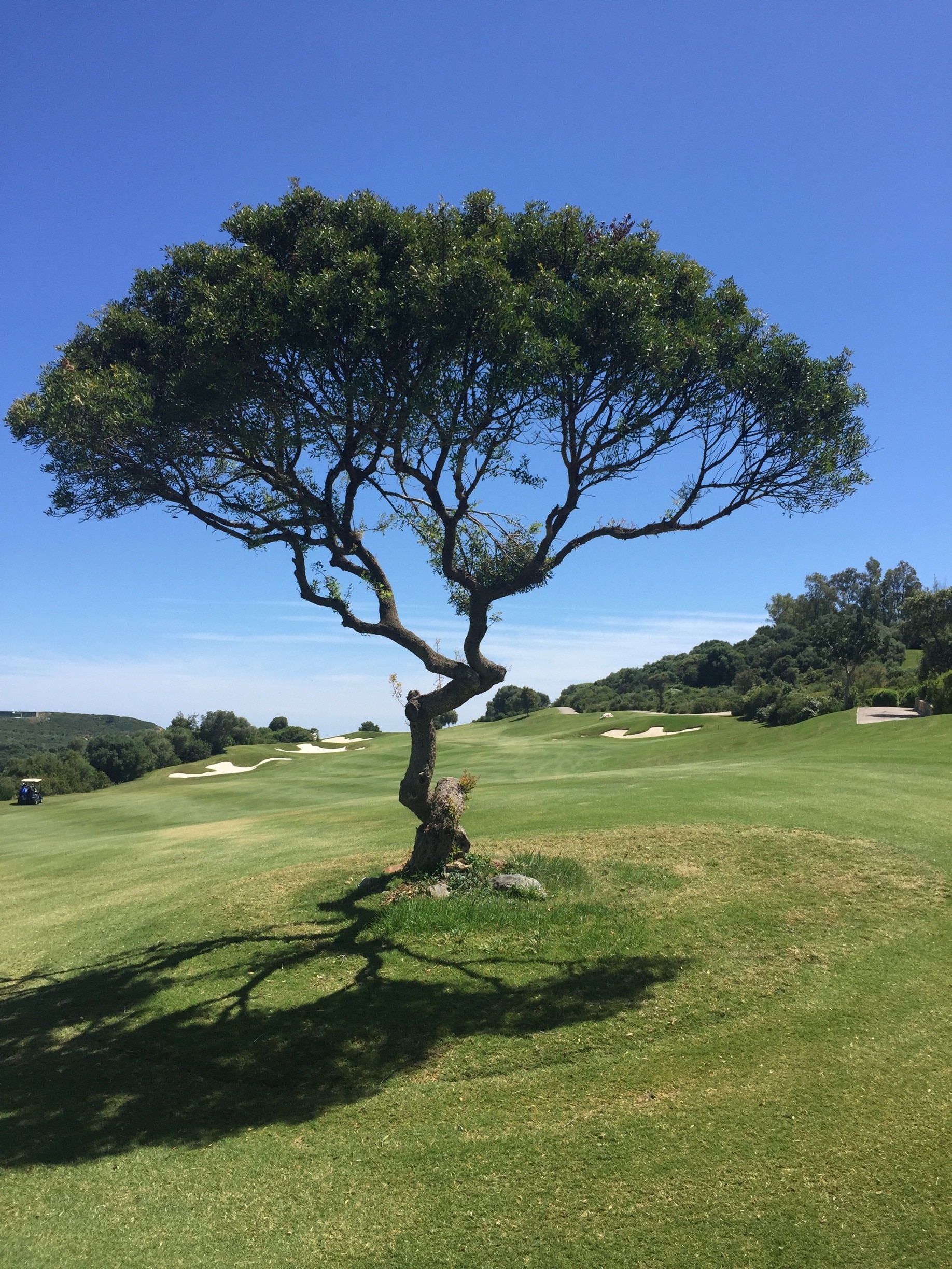 Finca Cortesin Golf Club in Casares - Tours and Activities | Expedia