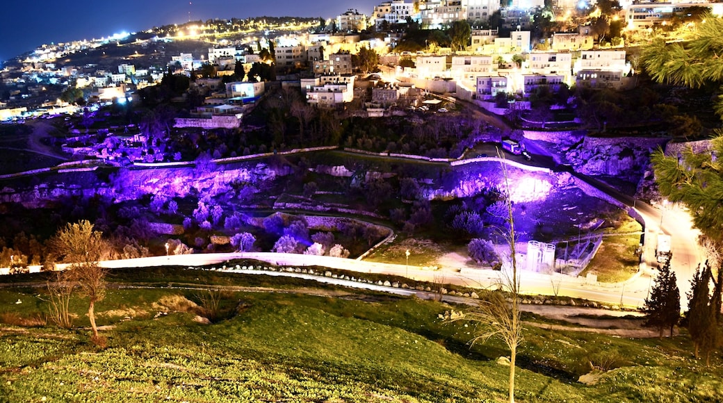 Cion hegye, Jeruzsálem, Jerusalem District, Izrael
