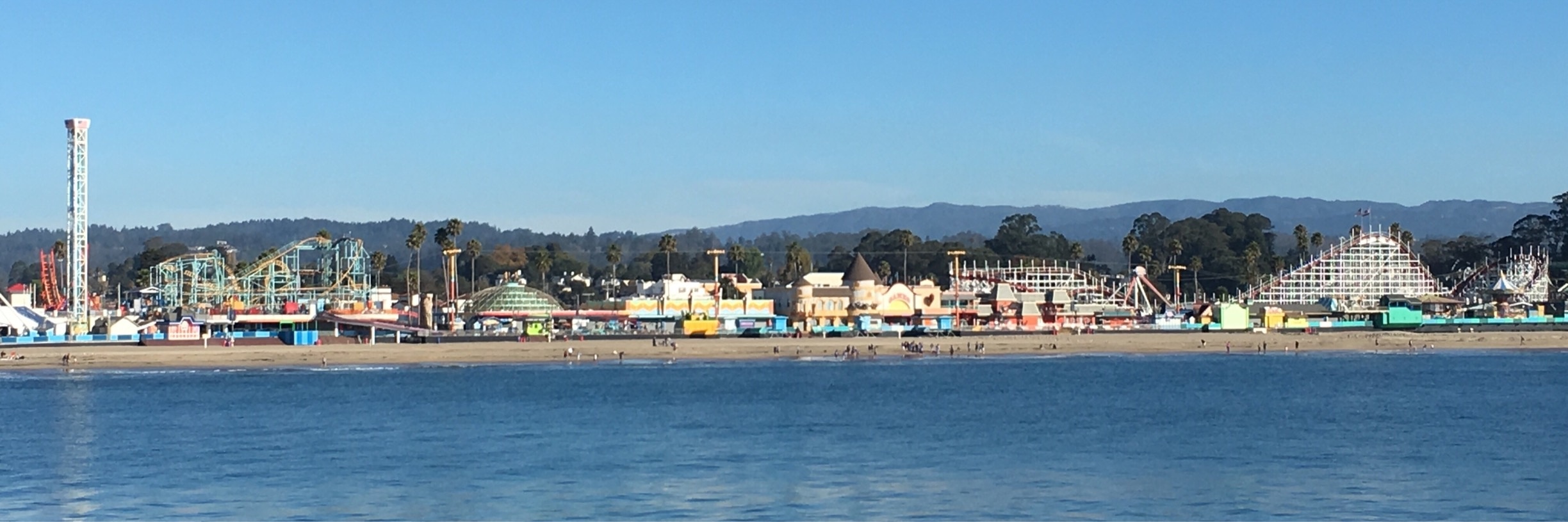 are dogs allowed at the santa cruz beach boardwalk