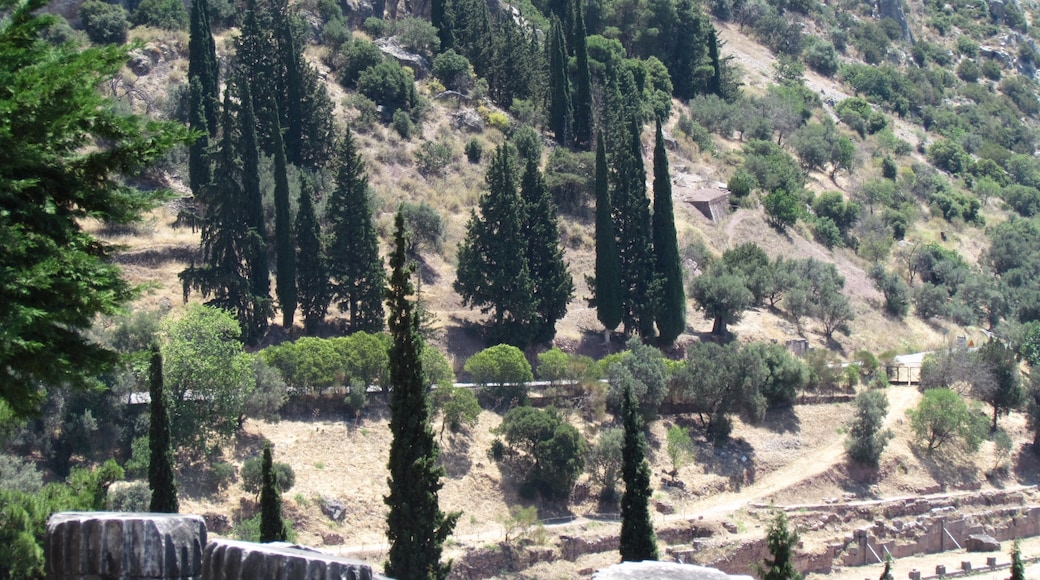 Antikkens Delphi, Delfi, Sentrale Hellas, Hellas