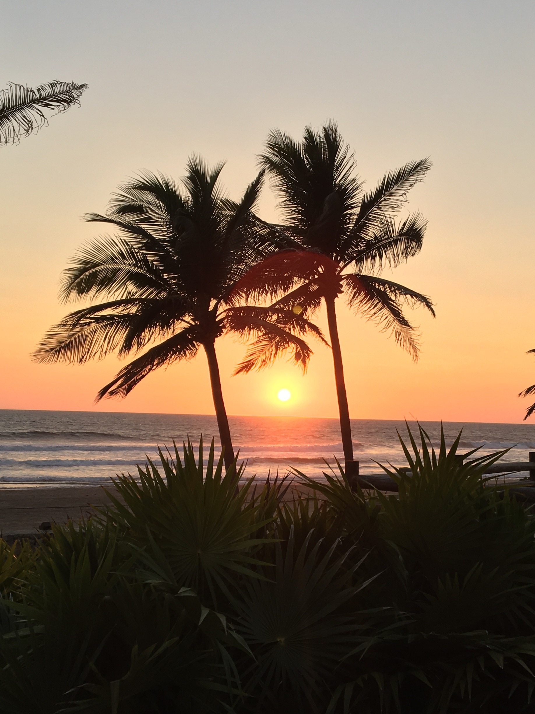 Miserable Familiar carencia Playa Diamante turismo: Qué visitar en Playa Diamante, Acapulco, 2023|  Viaja con Expedia