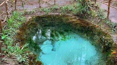 Natural water vent pool - if there are life colours - this has to be one of them