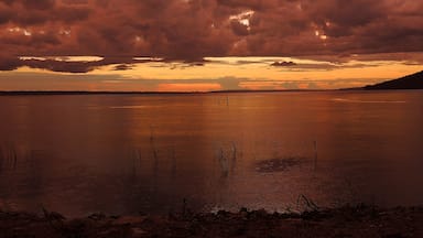 Sunset between rainy bouts over Lake Peten. I'd camp here again ;)

#adventure
#guatemala #overlanding #panamerican #sunset