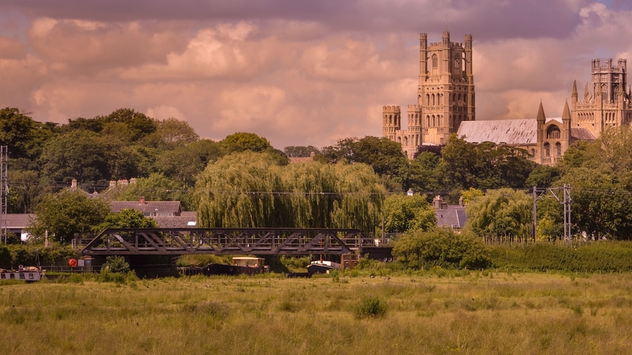 Ely Cathederal, taken from Prickwillow Road.