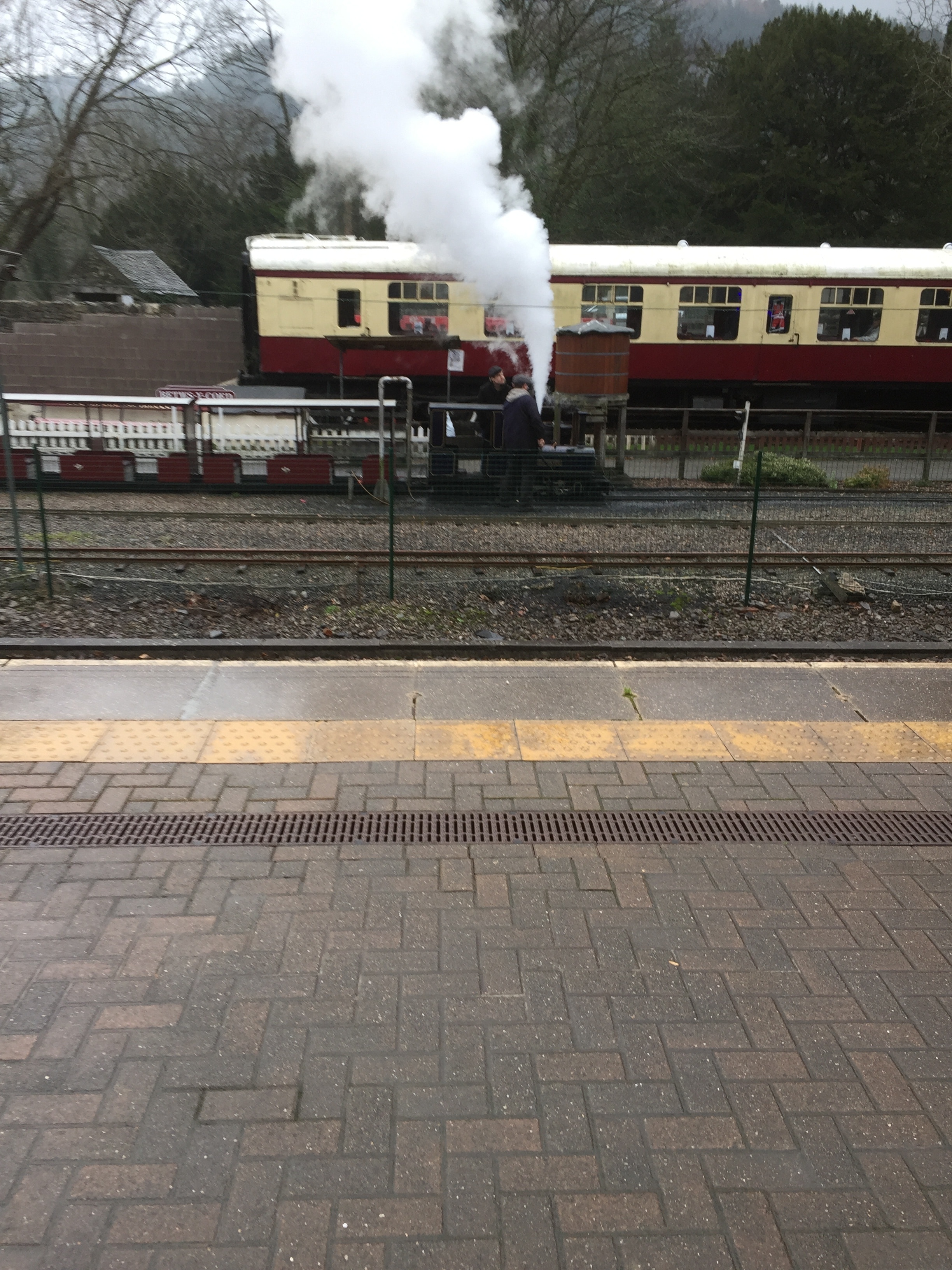 Small train 