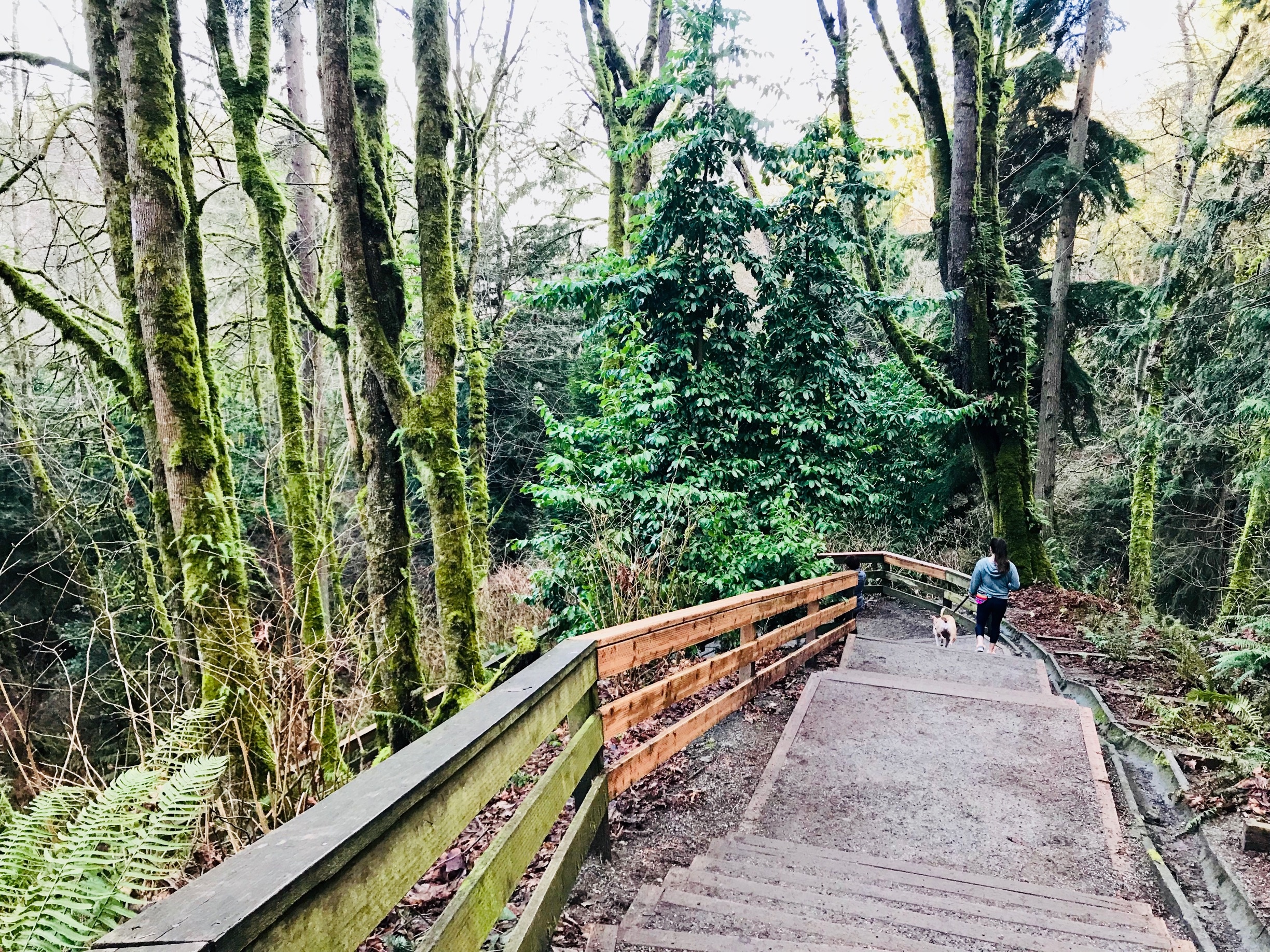 Visitez Edmonds: guide touristique 2024  Expedia.fr