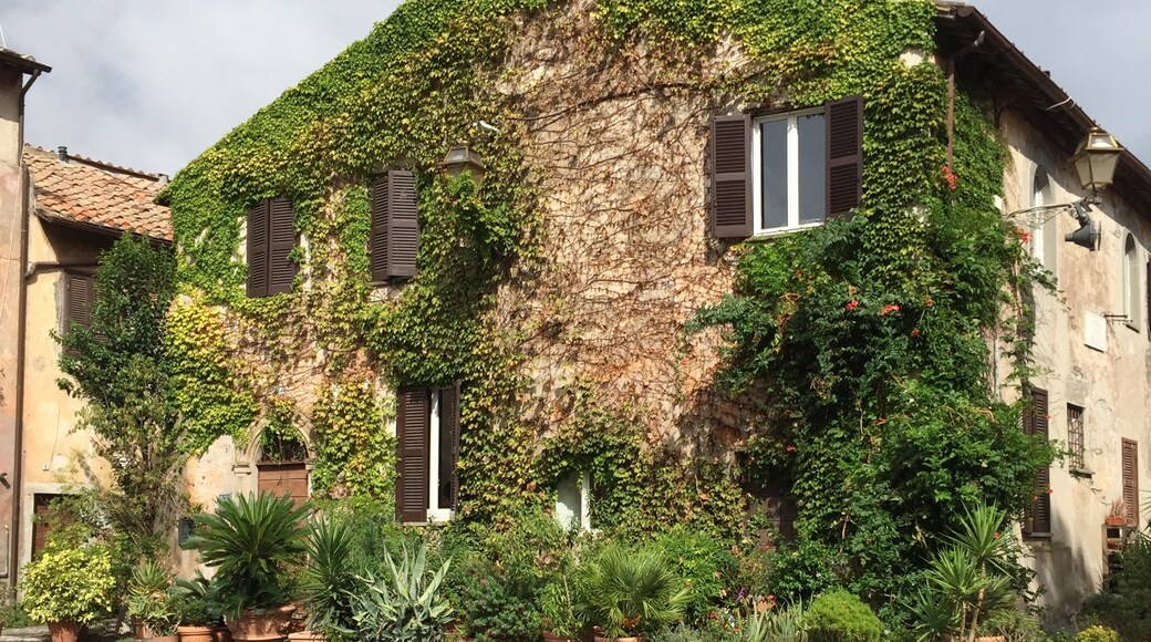 写真提供者 : Ewan Webster✈️🇬🇧