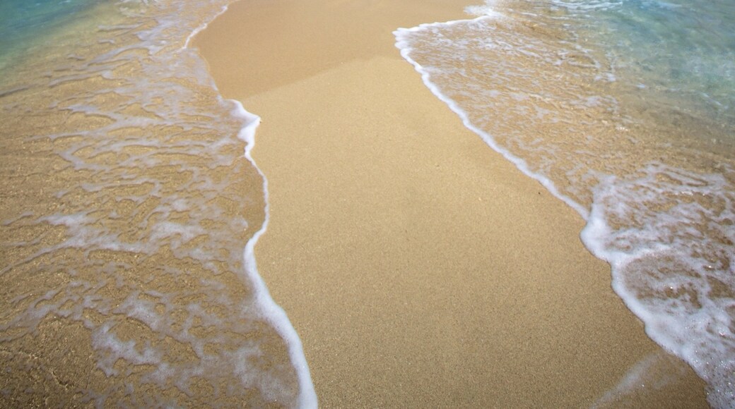 Photo by Mark Fitz