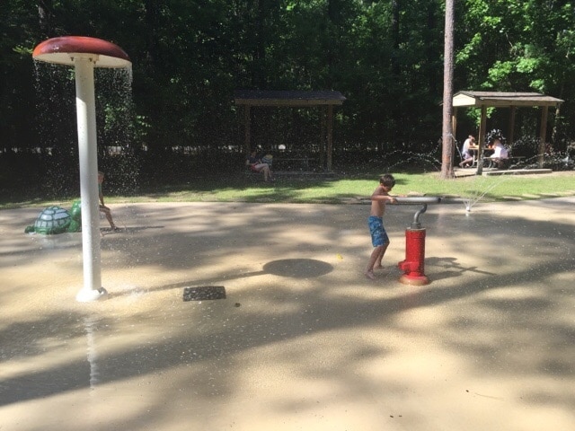 Visit Frugal Family Travelers blog to learn more about this great location, to receive the travel itinerary and to discover more great places like this:

Tickfaw State Park

http://frugalfamilytravelers.blogspot.com/2015/07/a-great-place-for-summer-fun-on.html

Follow us on:

Facebook: https://www.facebook.com/frugalfamilytravelers?ref=hl

Twitter: @FrugalFamTrav
