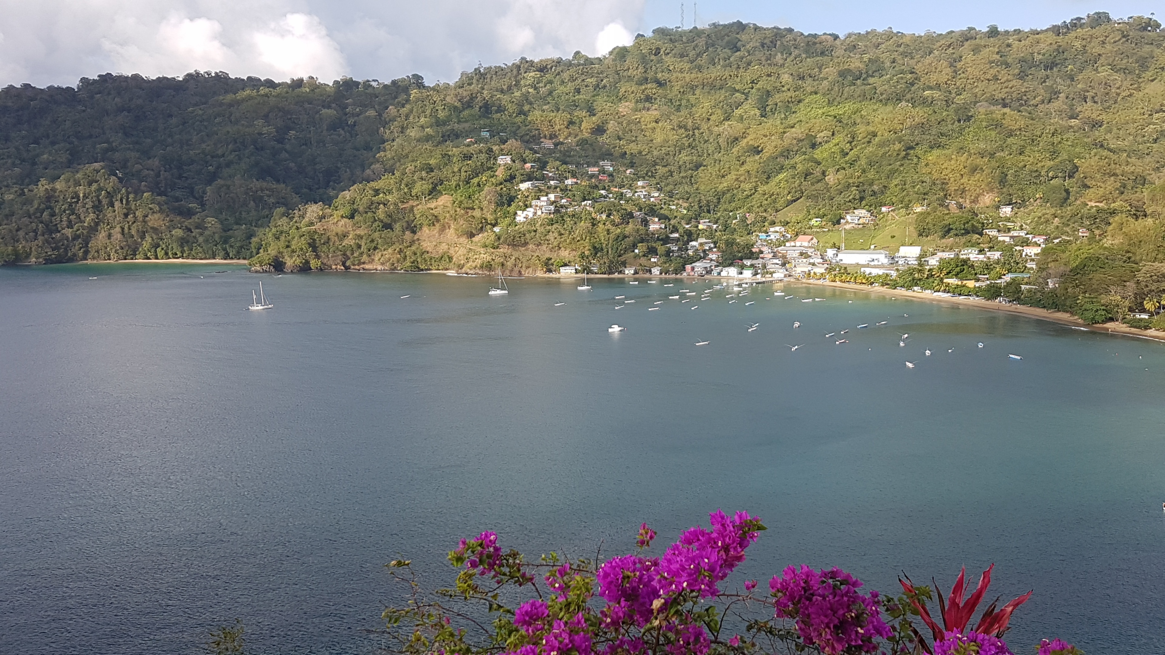 View of Charlotteville from the Old British Battery in Fort Cambell