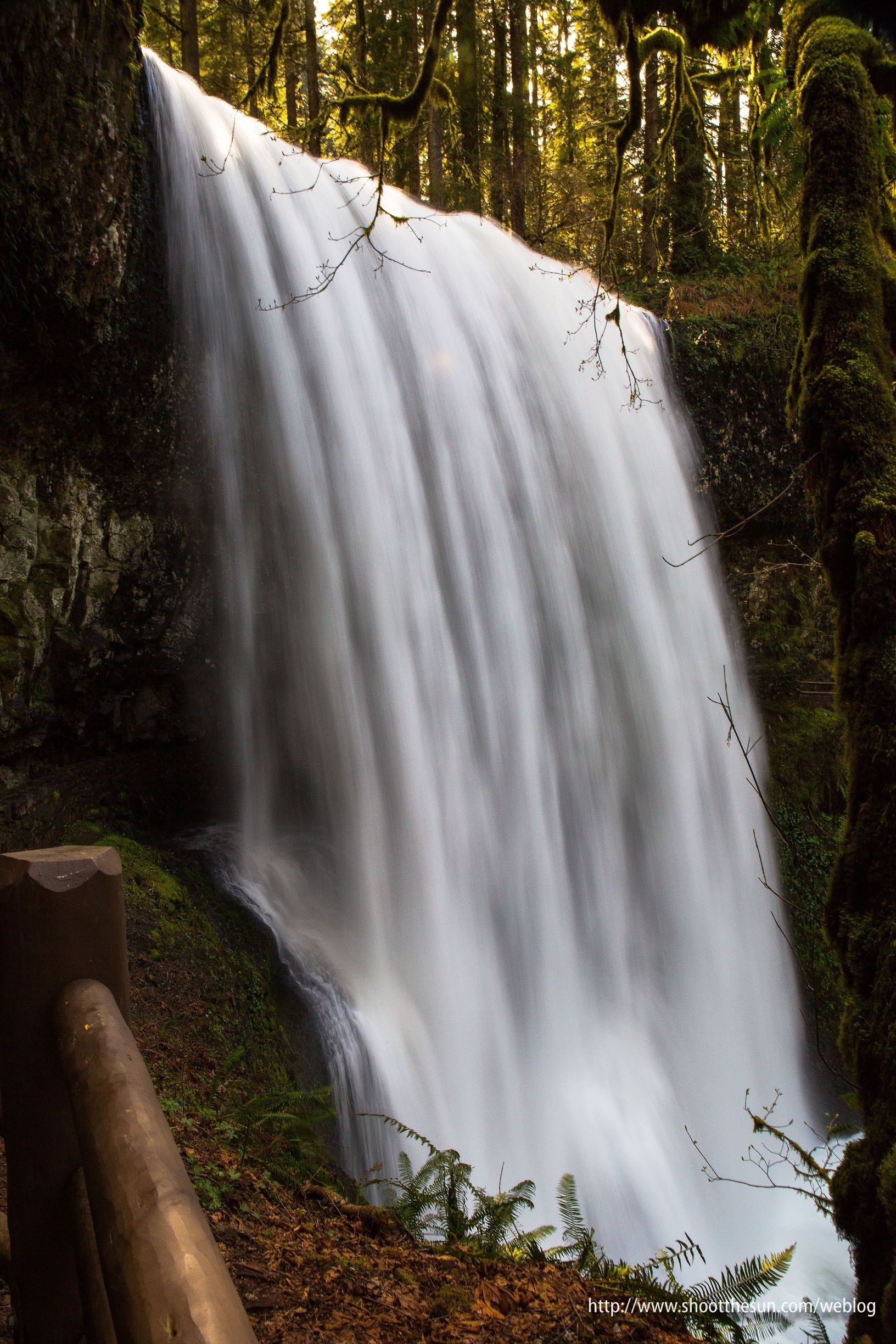 Silver Falls State Park: North Canyon Nature Play Area - Learning