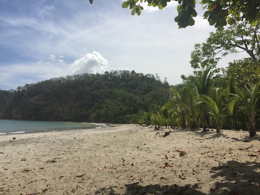 🏝🏝🏝