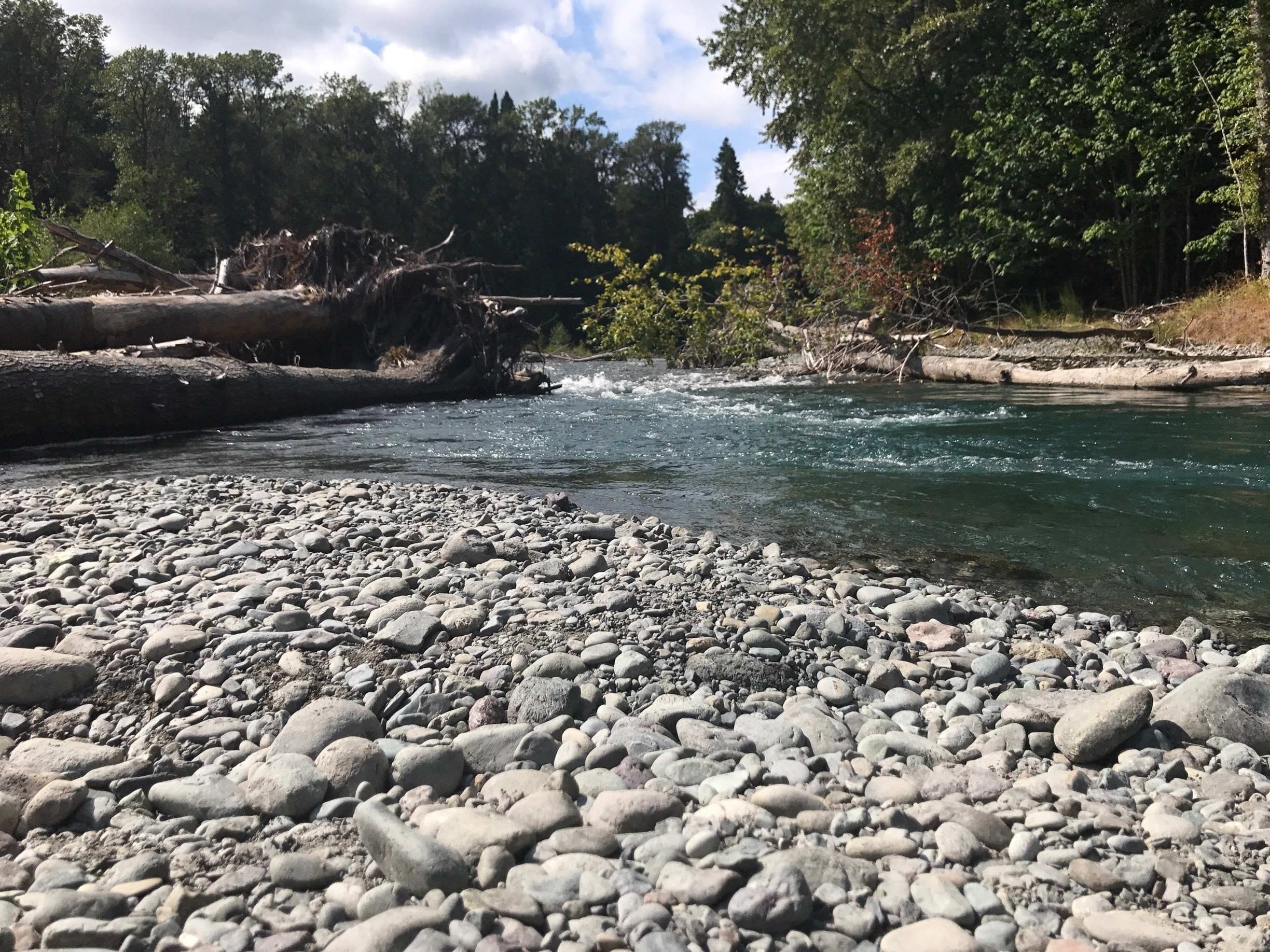 Visit Brinnon 2020 Travel Guide for Brinnon, Washington Expedia