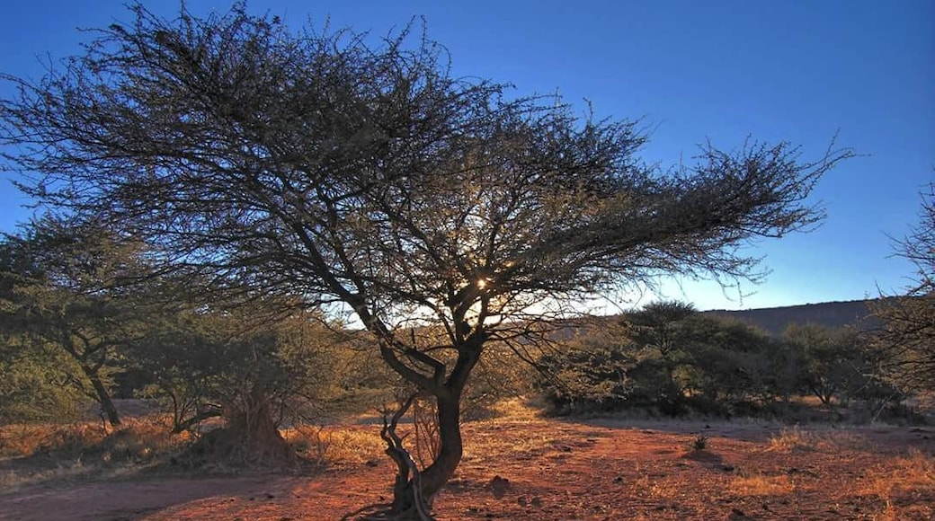 Waterberg Plateau Park, Otjozondjupa Region, Namibia