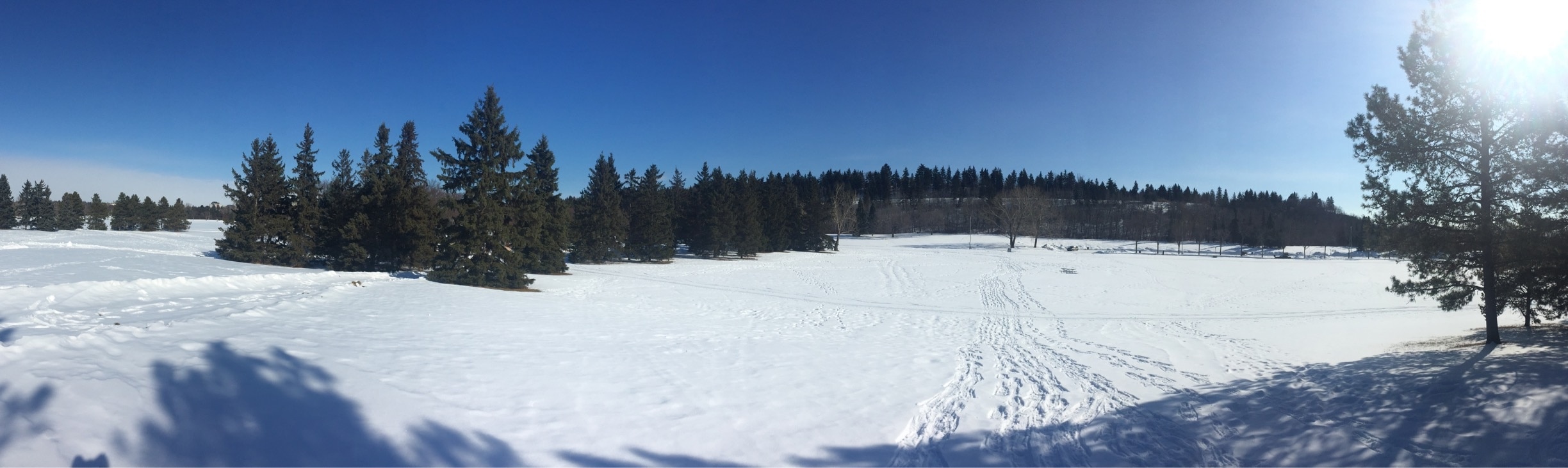 I went snowshoeing in the park last weekend. 