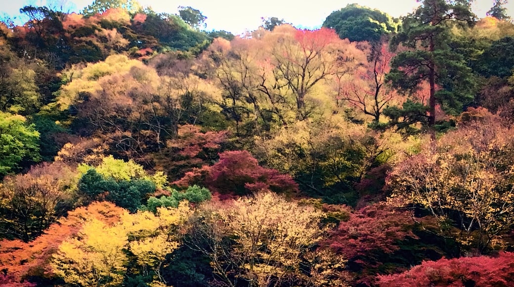 Takatsuki, Osaka Prefecture, Japan