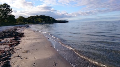 Waiting for the ferry and decided to take a nice walk along the beach.