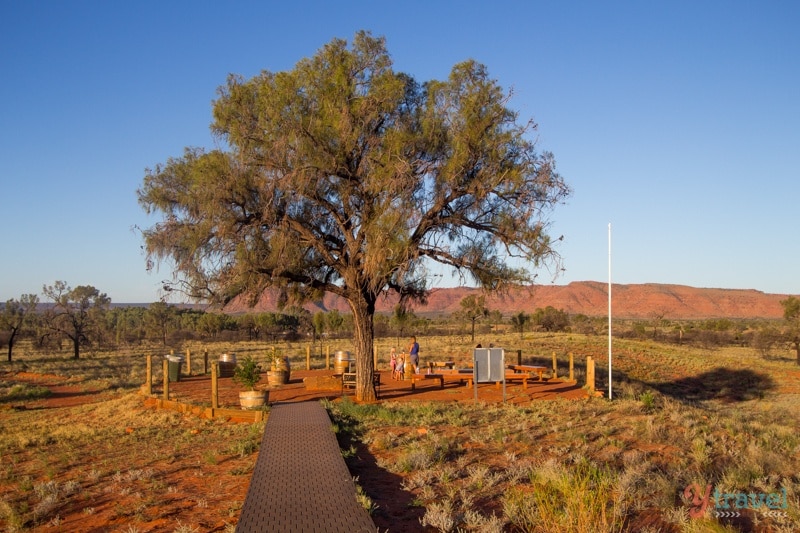 キングスキャニオンさま専用 Amazon | LA SPORTIVA (ラ・スポルティバ) TX CANYON TX