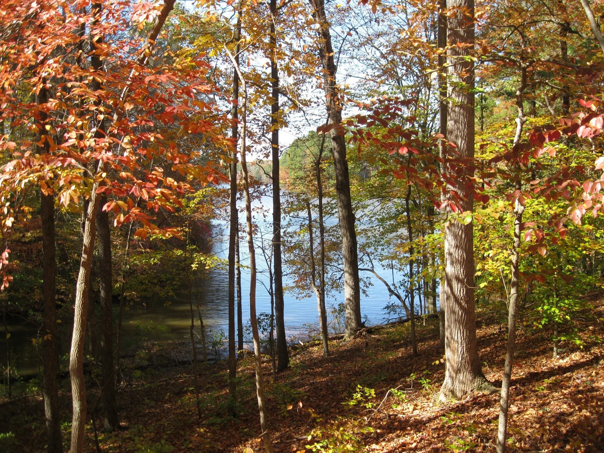 Visit Asheboro 2020 Travel Guide for Asheboro, North Carolina Expedia