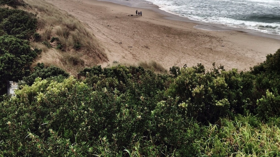 One of our favourite beaches! Not wise to swim here, but great spot for walking. About 45 min drive to the 12 Apostles.