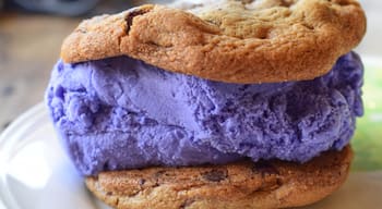 This is an ube ice cream cookie sandwich, and yes, that purple is completely natural in color. Ube originated in the Philippines and is a form of purple sweet potato. Chadlou's uses Dave's Ice Cream (a local company based in Waimanalo with several locations over the island of O'ahu). You can select whichever type of cookie you'd like from what they have available