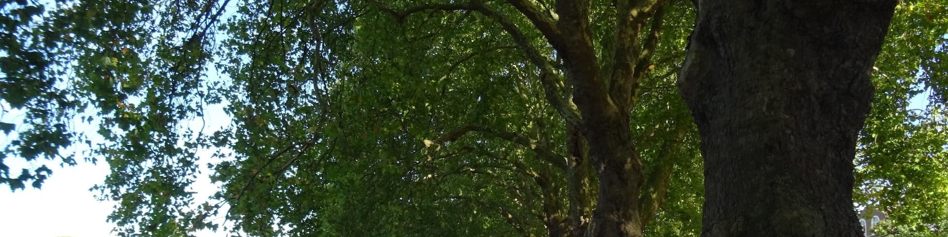 My favourite place in Kingston upon Thames. I always come here to sit on the banks of the River Thames for some relaxation and peace. An oasis of calm on the edge of a busy London Town.