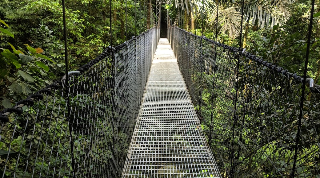 Puentes Colgantes del Arenal, La Fortuna, Alajuela (provincia), Costa Rica