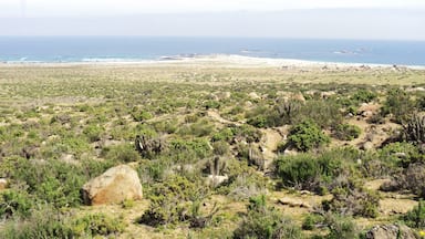 It is a good place to visit in Spring and some years you can look the natural phenomenon known as desierto florido (flowery desert).