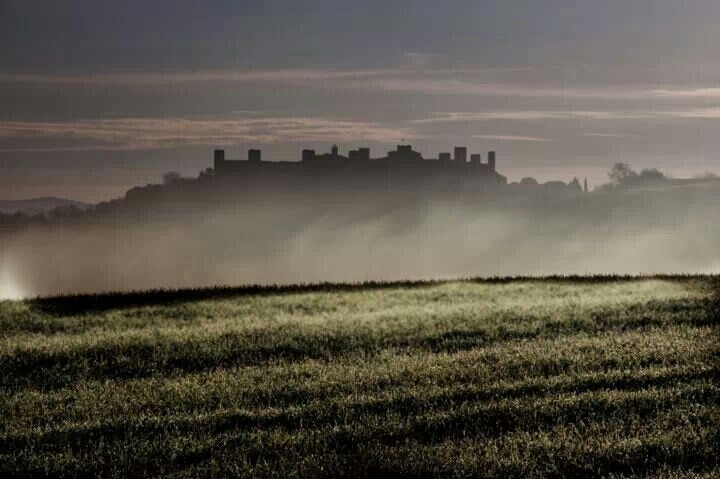 #TroveOn 
View of the Castle from the via francigena, while the fog leaves the valley as the sun rises. Monteriggioni is a small medieval village 12 km far from Sienna and 43 from Florence. Absolutely beautiful, the best period to visit Tuscany is from May to July. 