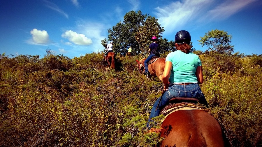 I'm an avid horseback rider at home but usually I stick to lessons, riding in a ring or taking jumps in a field. But sometimes it's nice to get out of the ring and onto some trails!