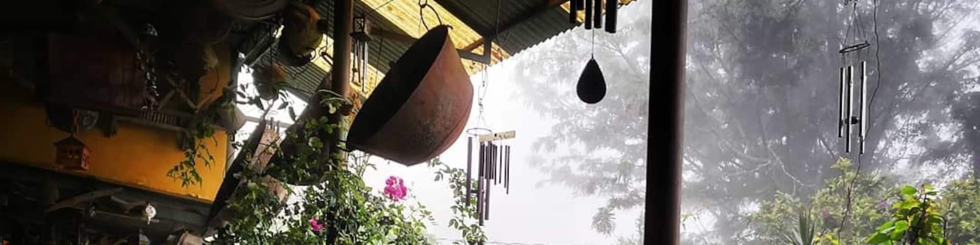 Restaurante dos alas on a Rainy saturday.