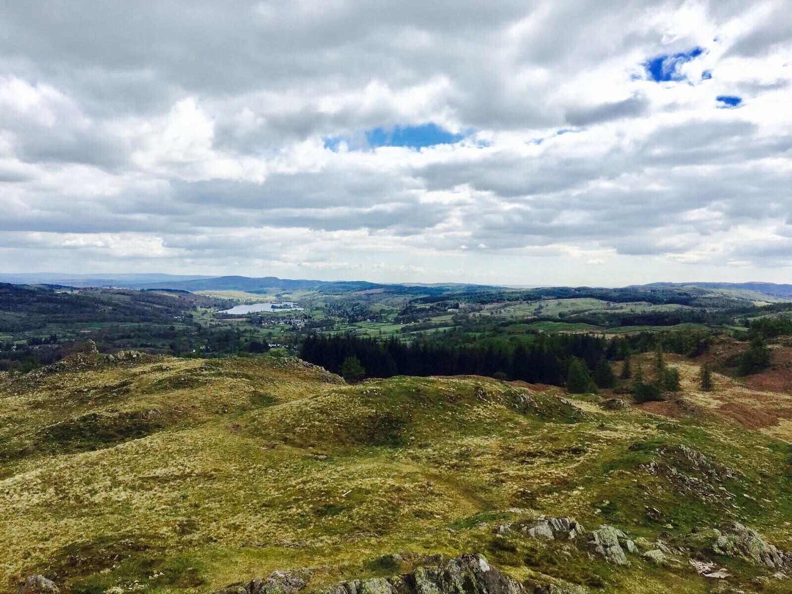 Photo by Oliver Rigby