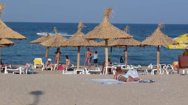 Black Sea shore