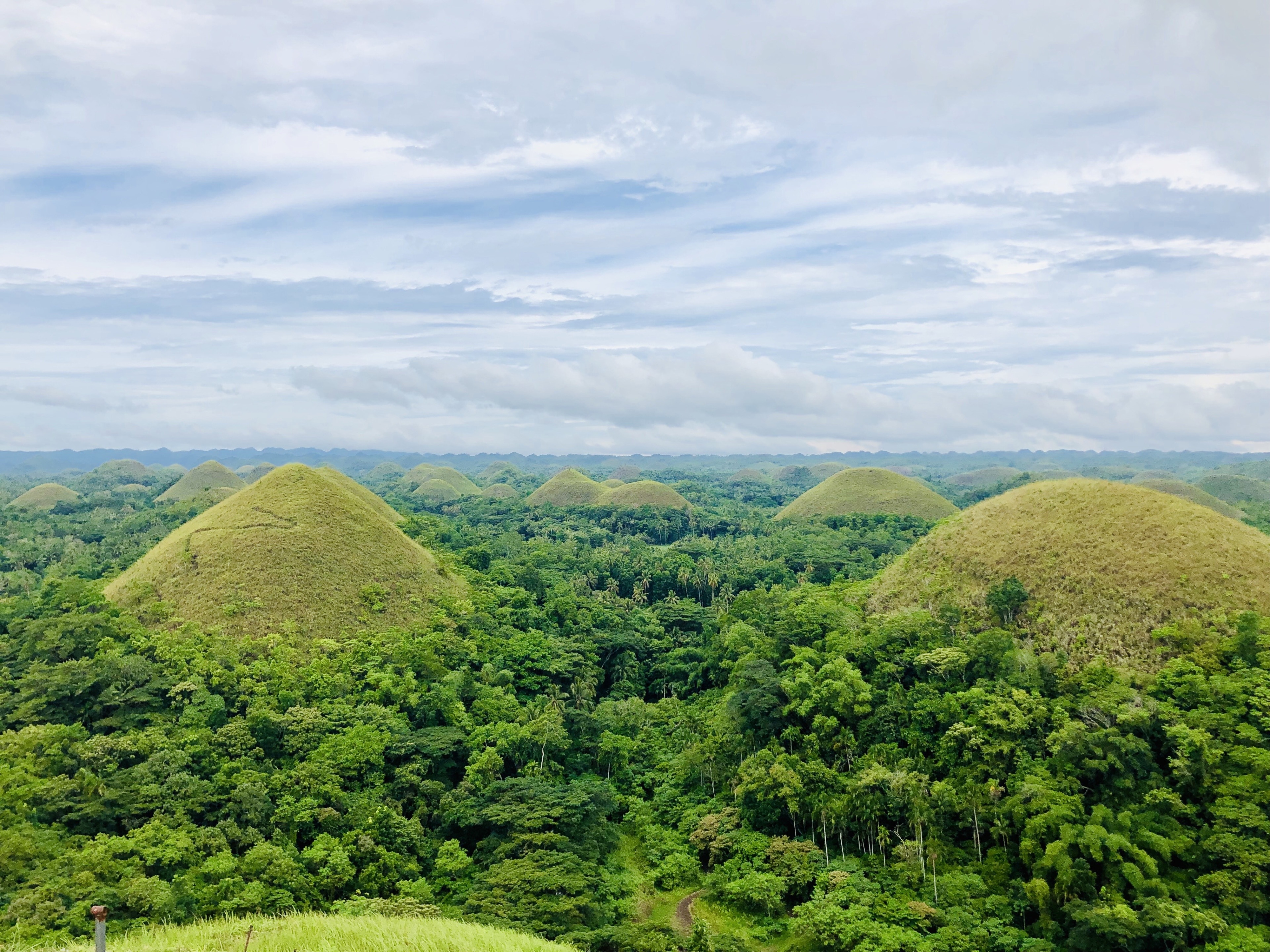 Chocolate Hills in Central Visayas - Tours and Activities