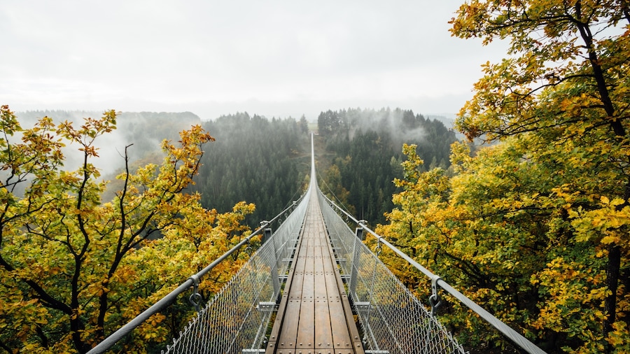 Getting up early and driving through #germany to look for stunning autumn colors. You can find amazing spots!!! Like this bridge in Mörsdorf. Be early to capture its pureness.
FB: https://www.facebook.com/ShotByCanipel/
IG: https://instagram.com/canipel
#autumn #troveon #travel #europe