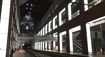 Central Station in Antwerp. Unusually empty, because of last bombings in Belgium.
Guarded troops are checking the area.