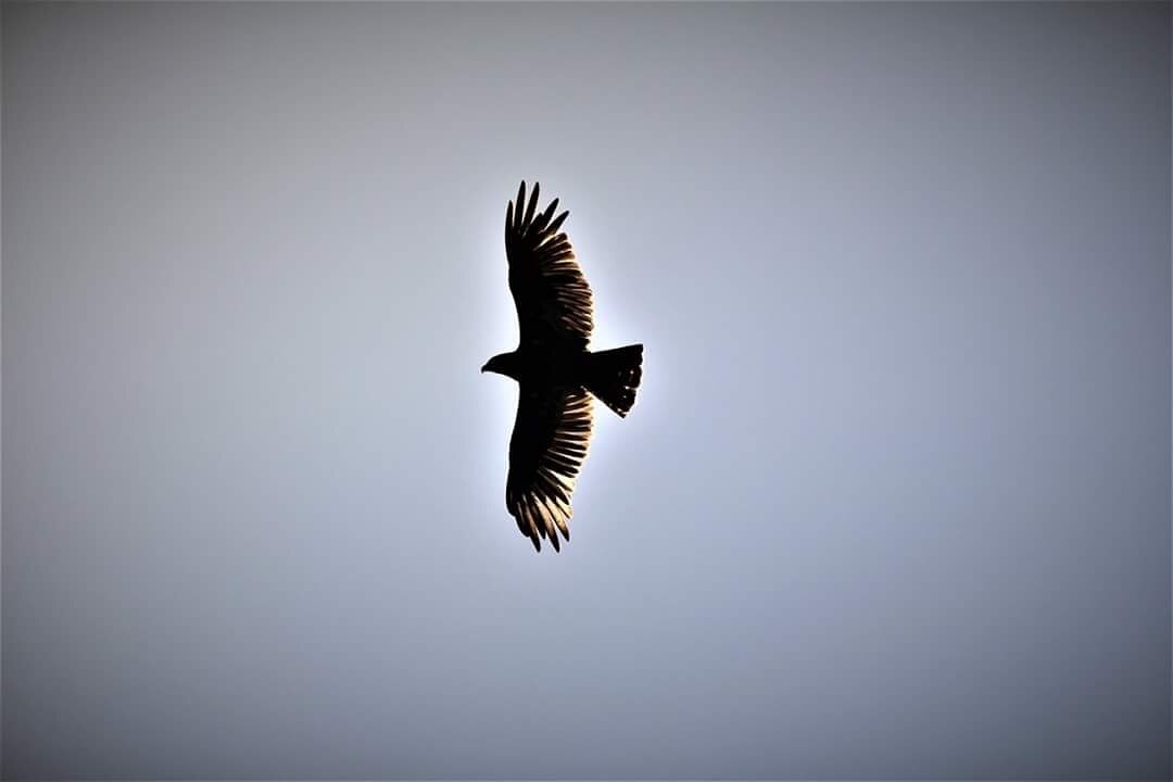 Photo by Andriya Nicholas