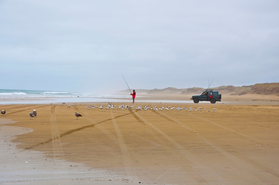 You can ride by car 90-miles along ocean coast, but be fast and careful - you can left your car under water during water onflow.
#blue