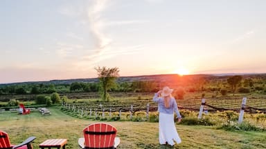 Wine + hops tasting with vintners food pairings| stunning views | wine tours of Grey County | Wine Country Ontario