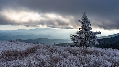 Sunset after a snow on Roan Mountain via the Appalachian Trail.