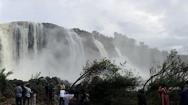 The Athirapally or ‘Bahubali’ waterfalls as it is popularly known after a scene for that film was shot at the site in its full glory thanks to heavy rains in the area.
More at: https://wp.me/p7CVI8-20z
#trovember #outdoors