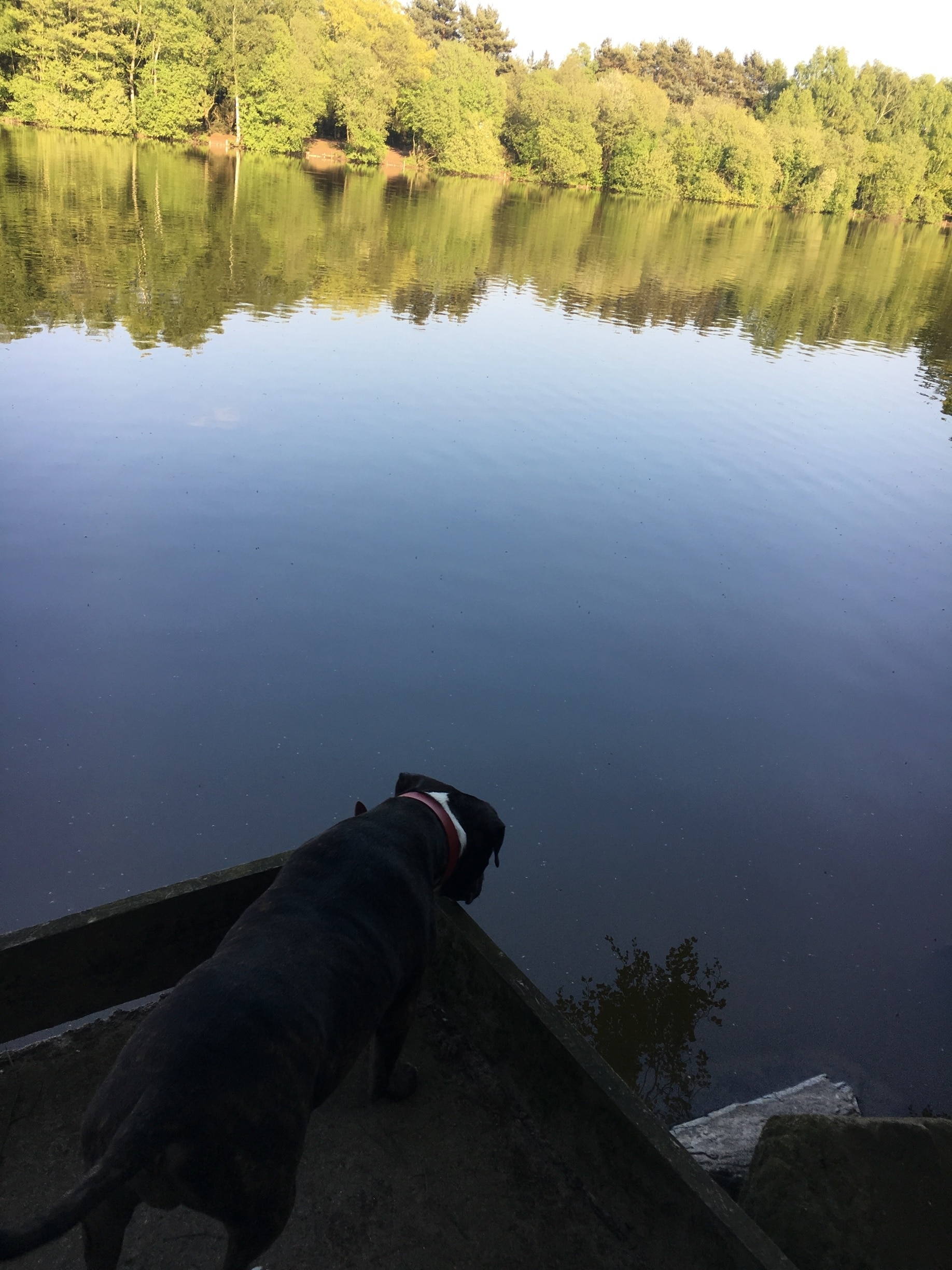 Foto de Krissie Taylor