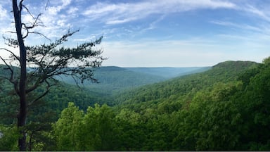 This the overlook at Virgin Falls. Just a short .5 mile trek off course. There are plenty of camping spot and they are typically a lot less crowded than camping at Laurel or Virgin Falls. And you get to drink your coffee while looking at this great view. 