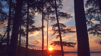 So thankful to have stumbled upon this Mississippi #sunset. #travel #photography