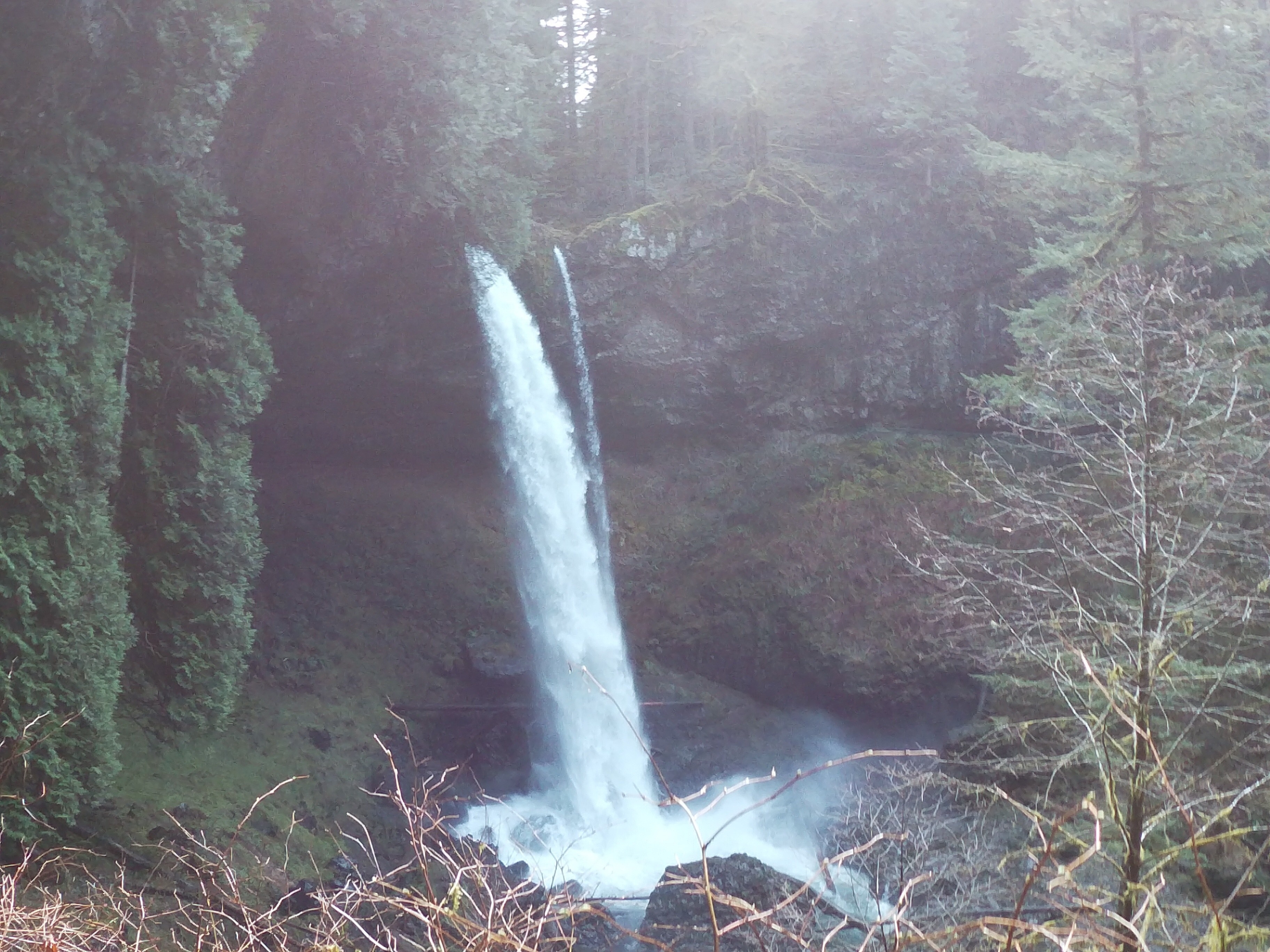 Silver Falls State Park A Oregon Tour E Visite Guidate Expedia It