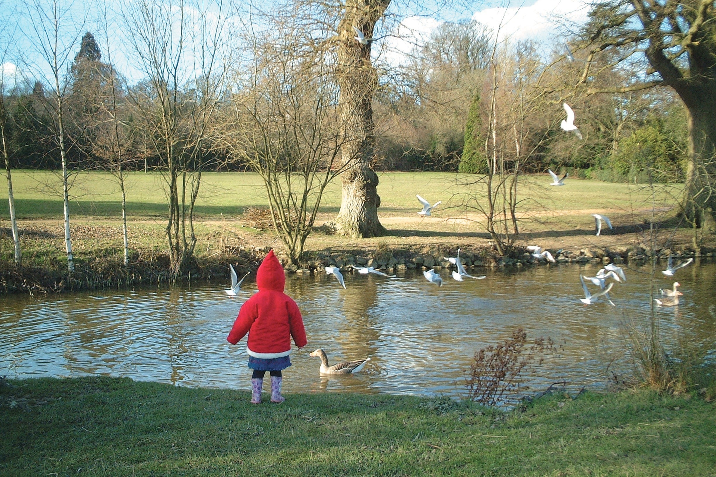 January 2002

My daughter feeding the ducks at Dunorlan Park in Tunbridge Wells.