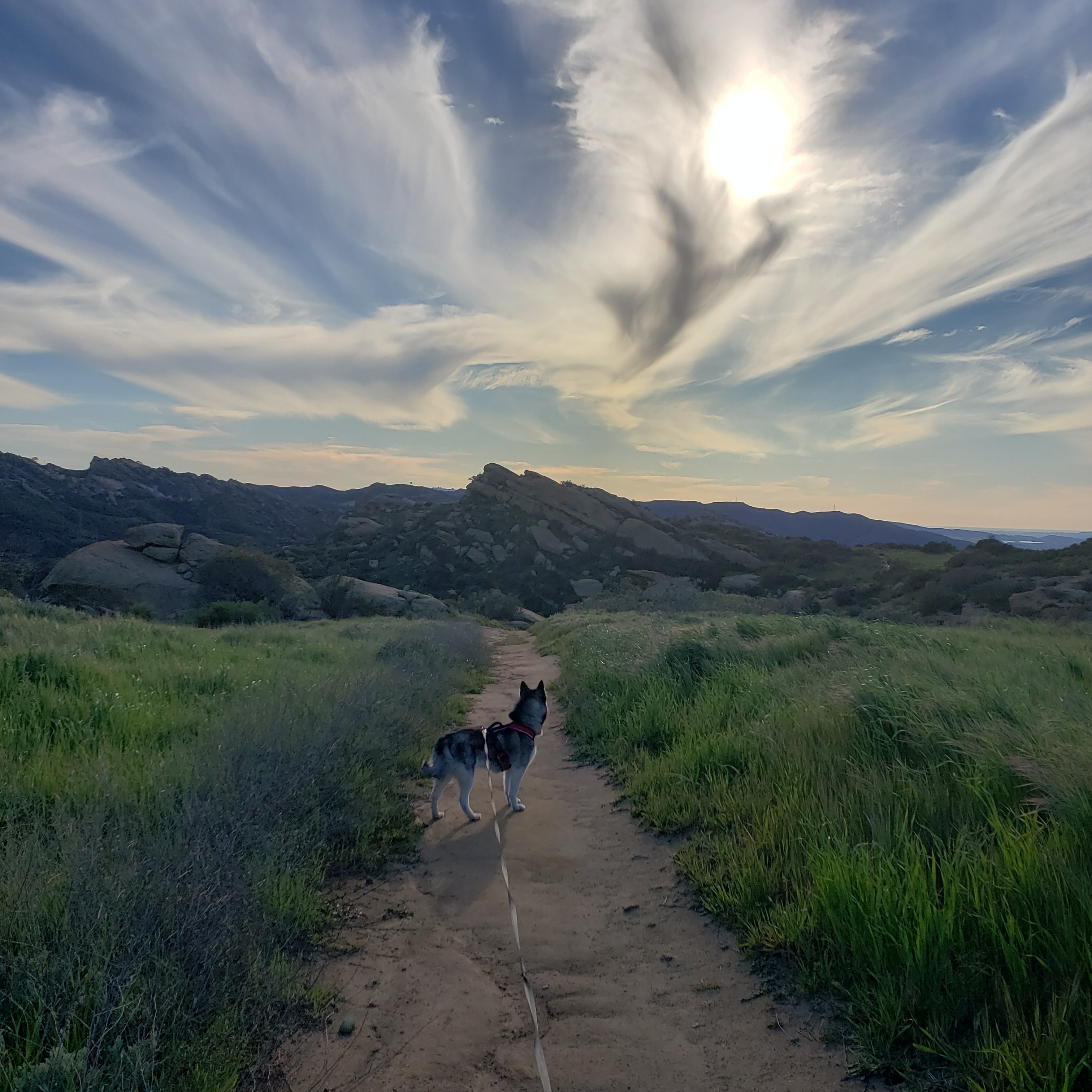 Visit Simi Valley 2024 Travel Guide for Simi Valley, California Expedia