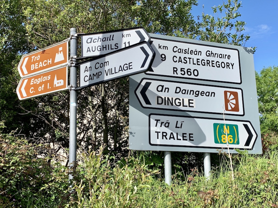 So many choices on the Dingle Peninsula