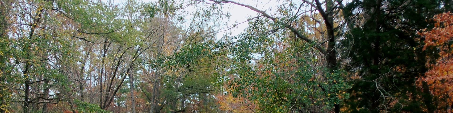 蒙德維爾, 阿拉巴馬, 美國