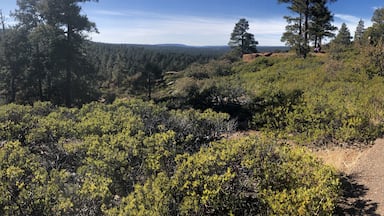 Took a short hike down the Mogollon Rim today. Very easy path, mostly paved, beautiful views